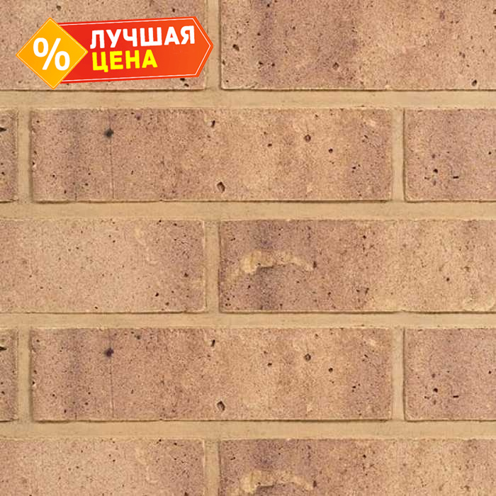 Кирпич облицовочный Terca Design Line Roxen, 250х85х65 мм